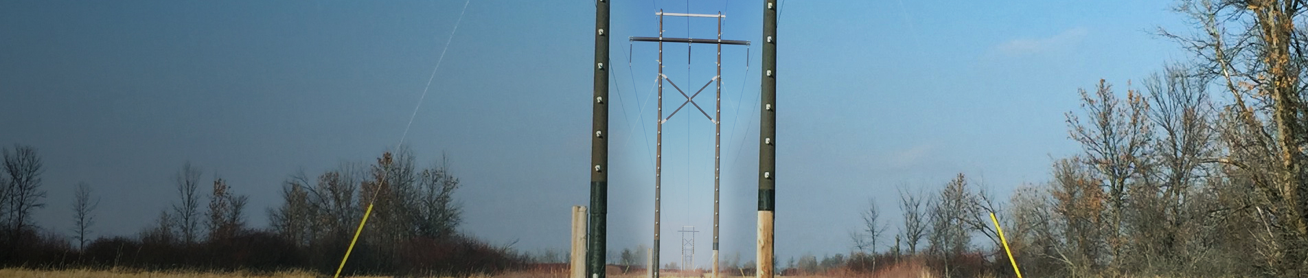 Shakespeare Power Transmission And Distribution Poles, Products